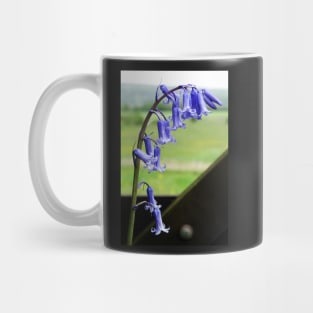 English Bluebells - Hyacinthoides non-scripta Mug